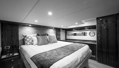 Greyhound For Sale image61