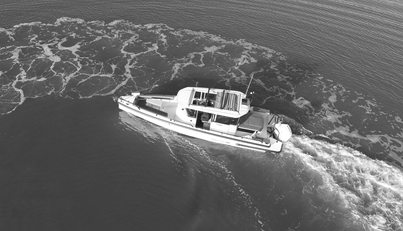 HAYLU For Sale image7