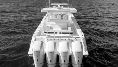 48 Campeon For Sale image5