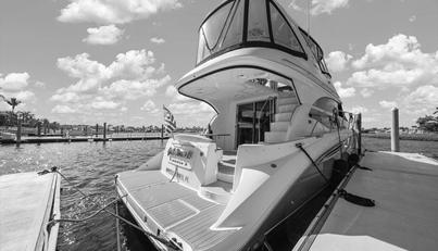 Gail’s Storm IV For Sale image83