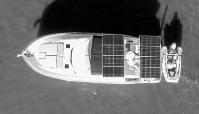 Rumble Bee For Sale image3