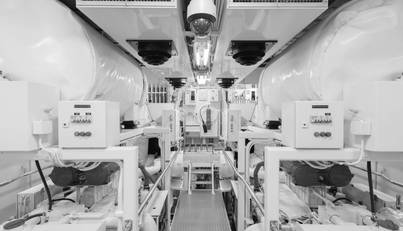 HERCULES For Sale image63