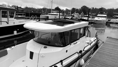 HAYLU For Sale image26