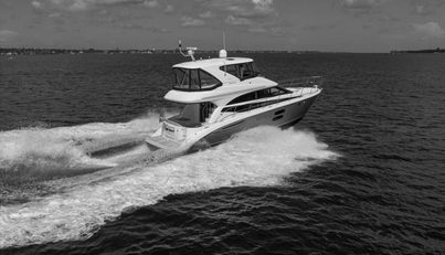 Gail’s Storm IV For Sale image110