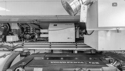 GYRFALCON For Sale image92