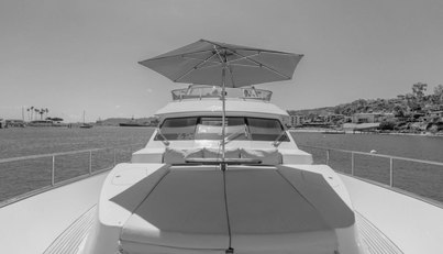 GYRFALCON For Sale image51