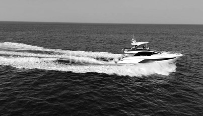 noname For Sale image13