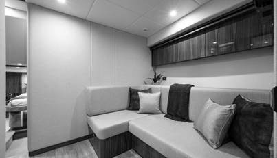 Greyhound For Sale image57