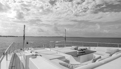 PATIENCE For Sale image40