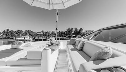 WHITE STAR For Sale image37