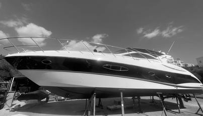 noname For Sale image3