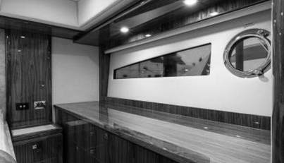 Greyhound For Sale image66