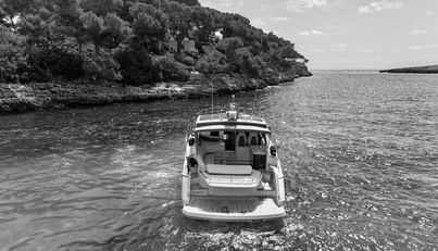noname For Sale image16