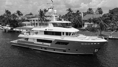 UPTIGHT For Sale image2