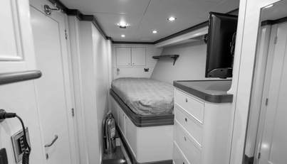 NEREUS For Sale image35