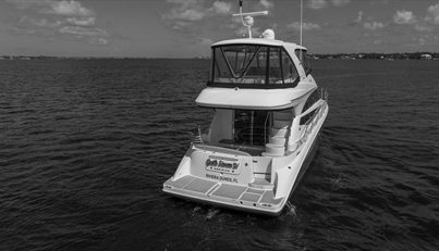 Gail’s Storm IV For Sale image106