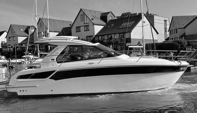 Knot Guilty For Sale image15