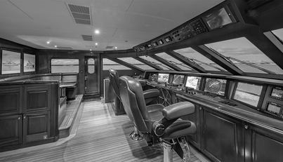 CARTE BLANCHE For Sale image13