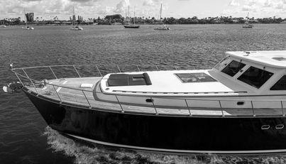 noname For Sale image13