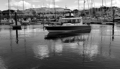 Endless Fun For Sale image7