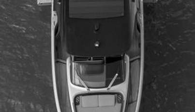 Bella For Sale image13