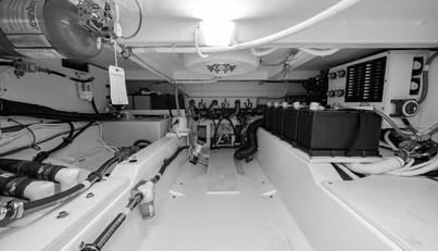 noname For Sale image27