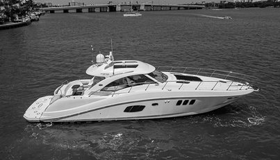 noname For Sale image49