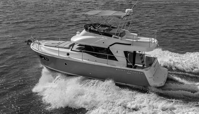 ASHOKAN For Sale image4