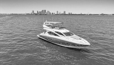 Cheers For Sale image2