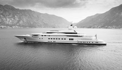 Pelorus For Sale image20