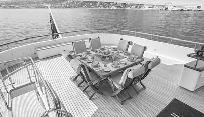 HERCULES For Sale image18