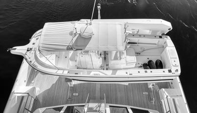 ICE BEAR For Sale image28