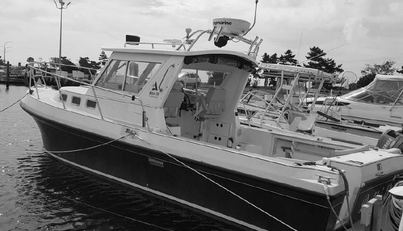 noname For Sale image1