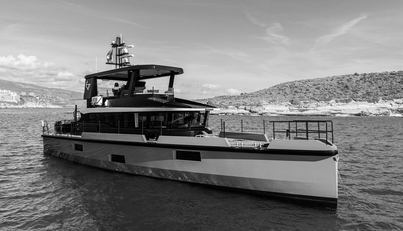 VANGUARD For Sale image36