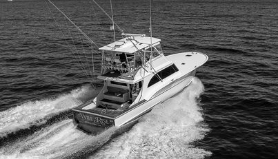 WILL RISE For Sale image15