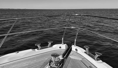 noname For Sale image24