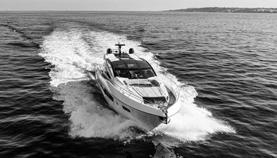 CLAVIS For Sale image6