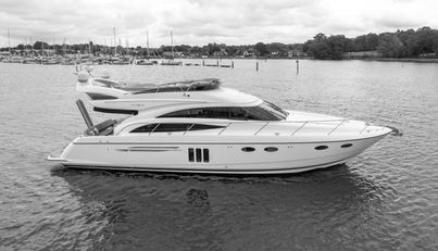 Enzo For Sale image10