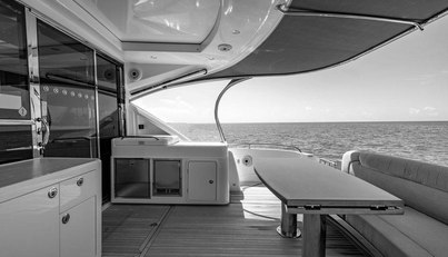 Bald Eagle For Sale image15