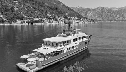 ZULU For Sale image6