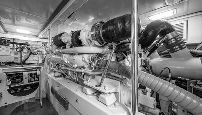 WILL RISE For Sale image62