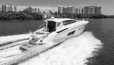 Endurance For Sale image10