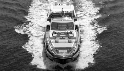 noname For Sale image6