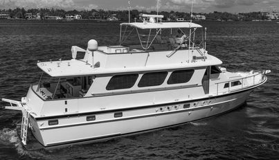 noname For Sale image83