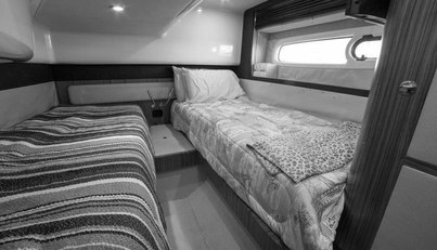 Rumble Bee For Sale image14