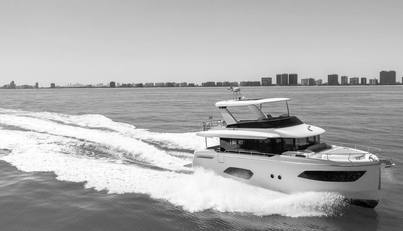 My Toy For Sale image8