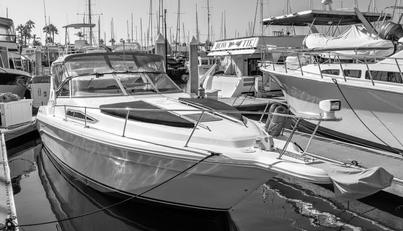 Sea Oddity For Sale image3