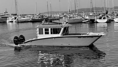 NO DESTINATION For Sale image30