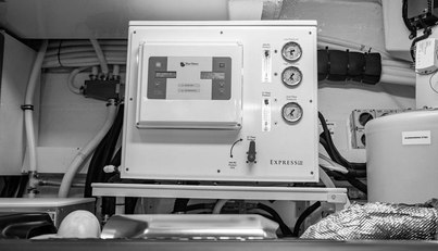 Bald Eagle For Sale image83