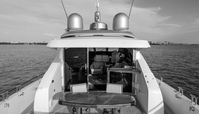 SALACIA For Sale image10